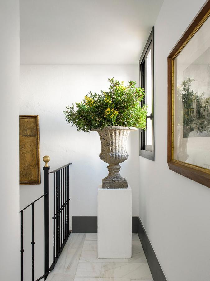 Apartment Vac Luxury