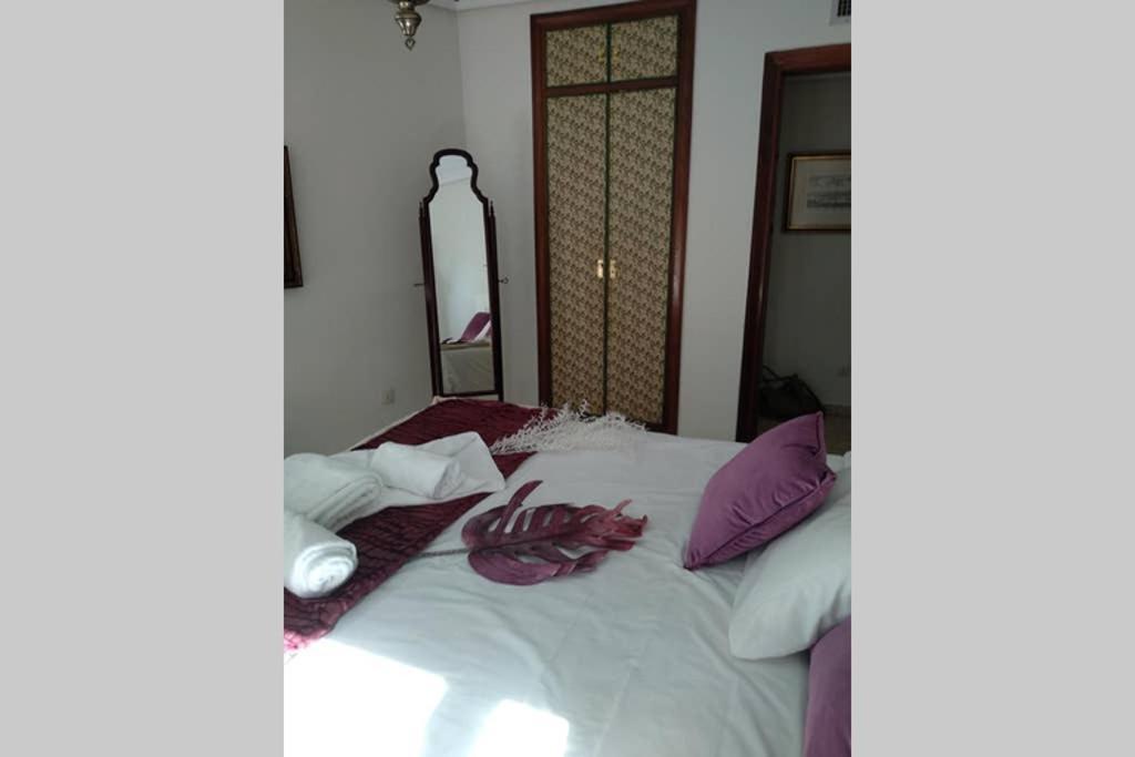 Turquesa Apartamento