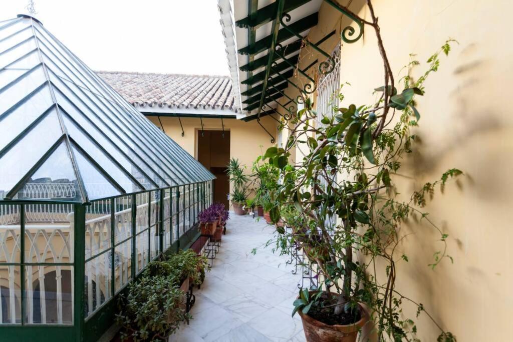 Apartamento Tranquilo Y Con Encanto En Palacio Sevillano, Junto Catedral A Acond Y Wifi Sevilla