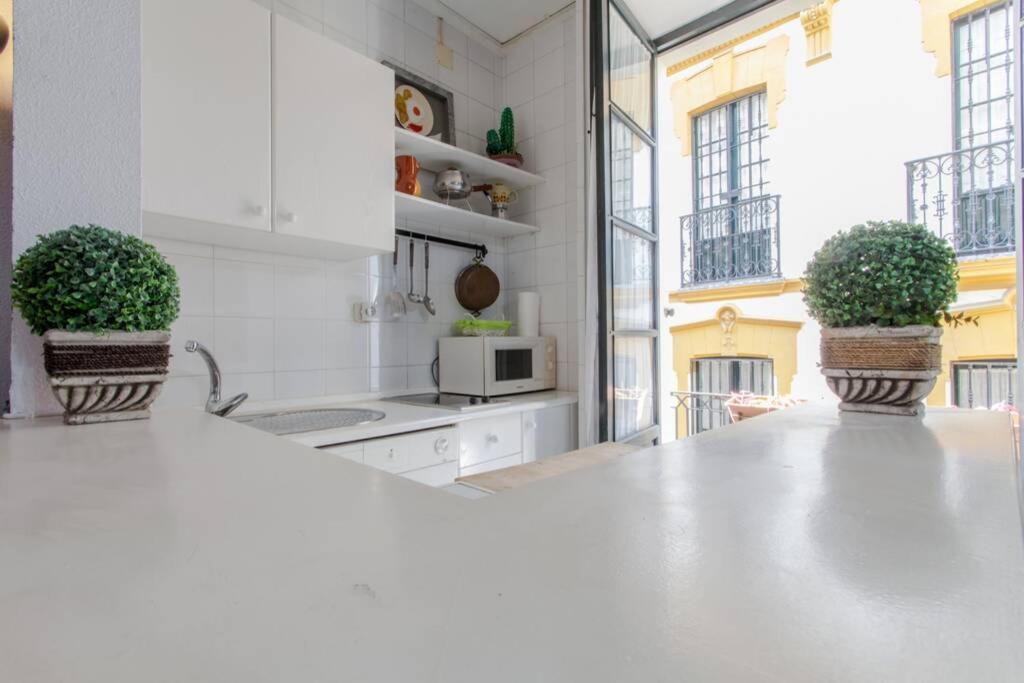 Apartment Ubicacion Junto Catedral A Acond Y Wifi Seville