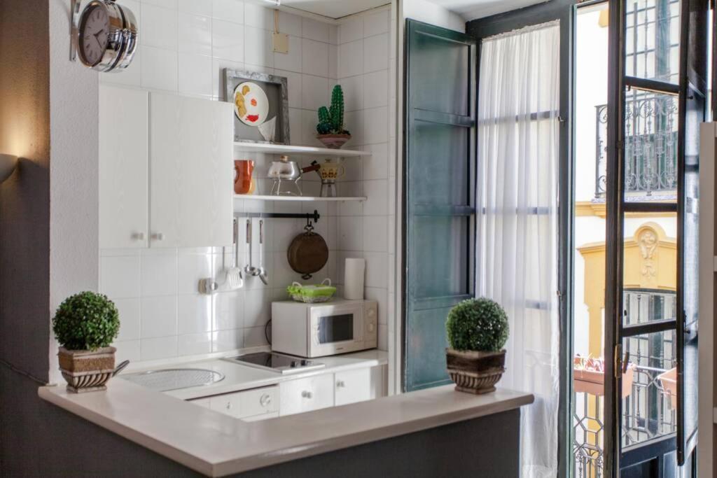Apartment Ubicacion Junto Catedral A Acond Y Wifi Seville