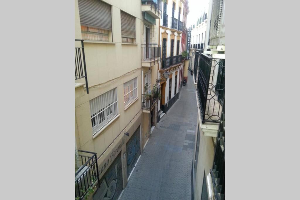 Apartamento Loft Con Encanto En Casa Palacio Junto Catedral Wifi *