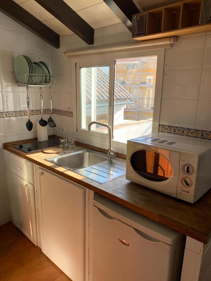 Apartment Stunning Attic With Private Terrace And Parking Optional