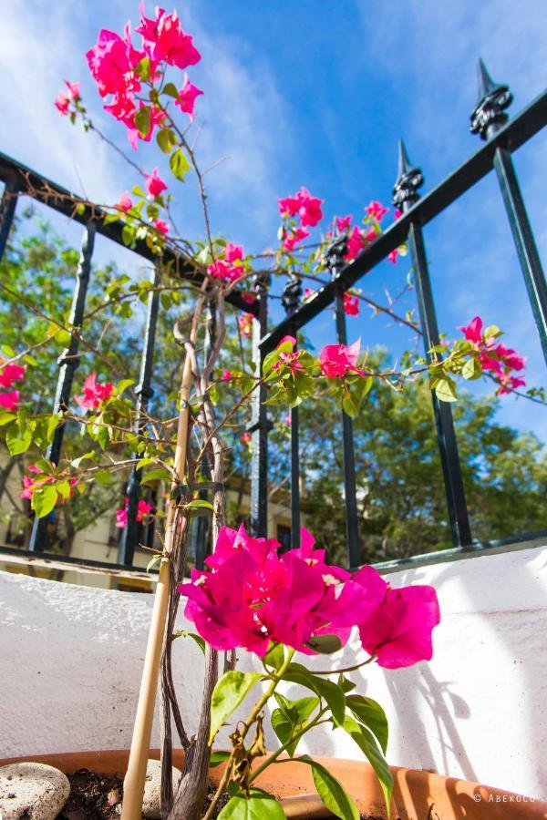 Casa Del Siglo Xvii Holiday home Seville