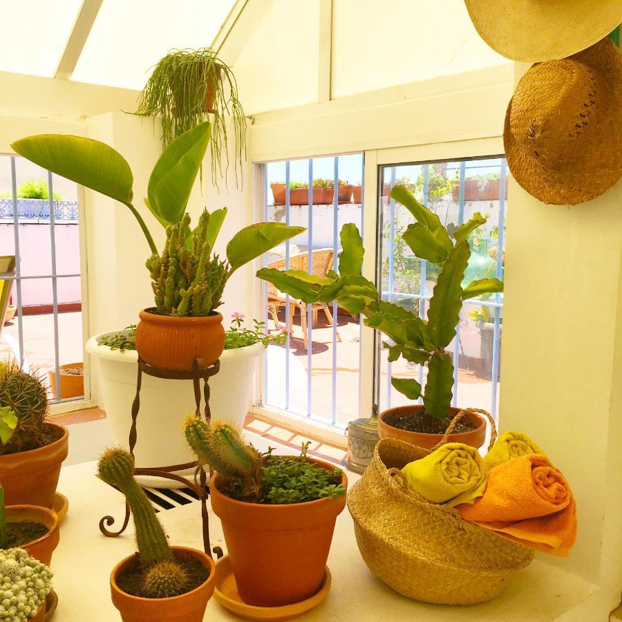 Apartamento Eva Recommends Alberto Lista ático Sevilla