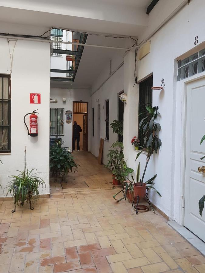 Ideal Tipo Loft En Triana Wifi Apartamento