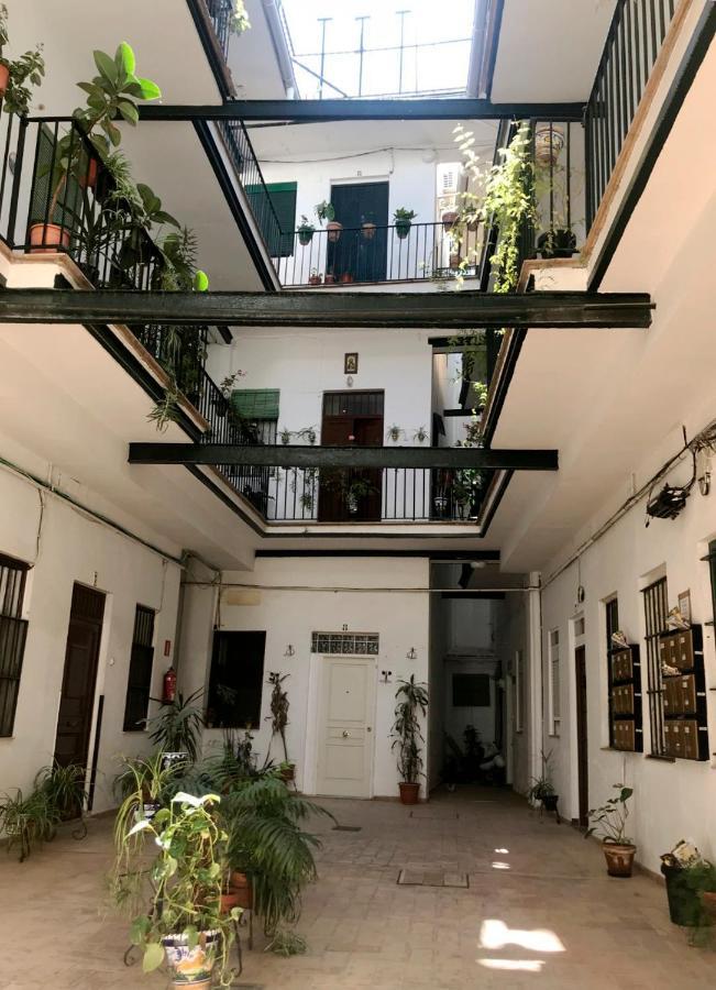 Magnifico Tipo En Triana Apartamento *