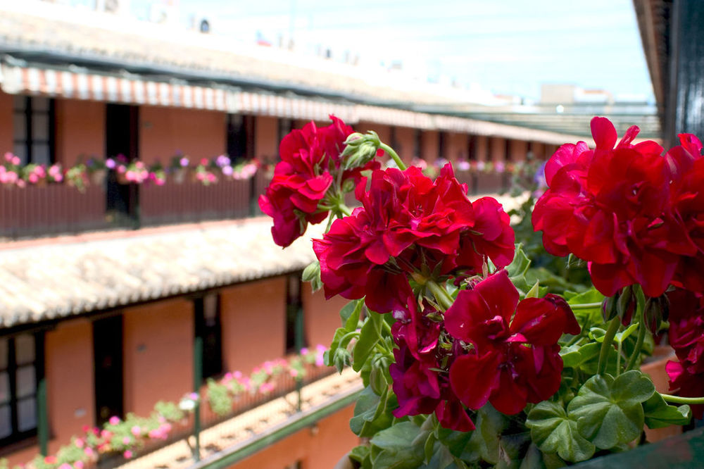 Corral De Chícharos
