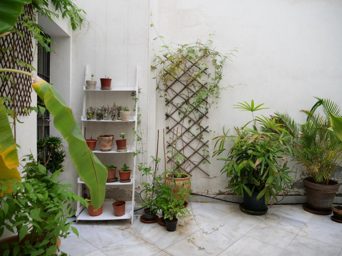 Apartamento Daoiz *