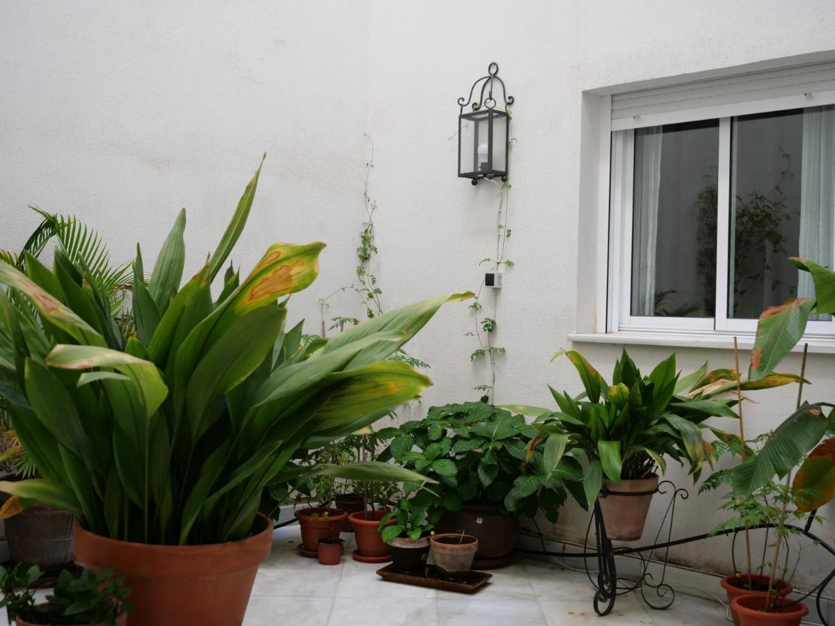Apartamento Daoiz *