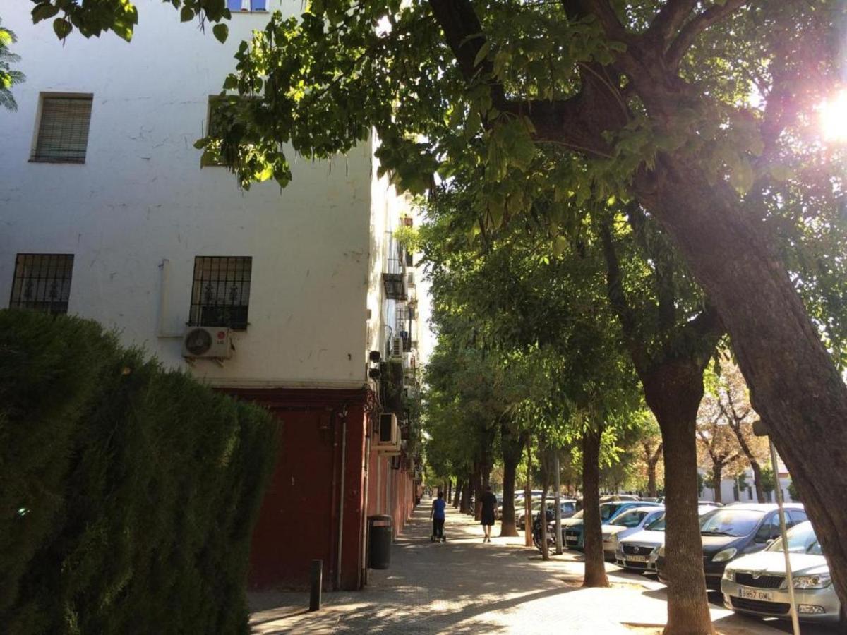 Homestay Women Only - Solo Mujeres Seville