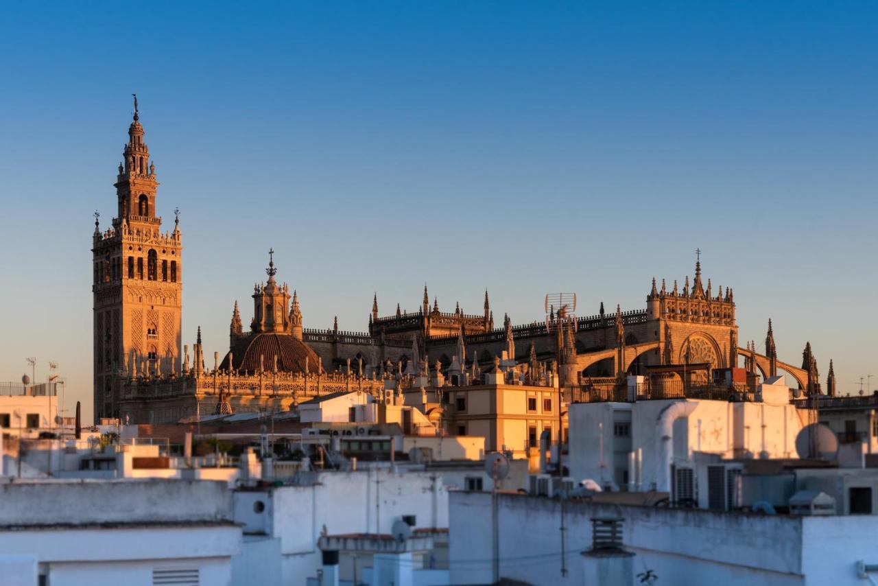 Alohamundi Arenal * Seville