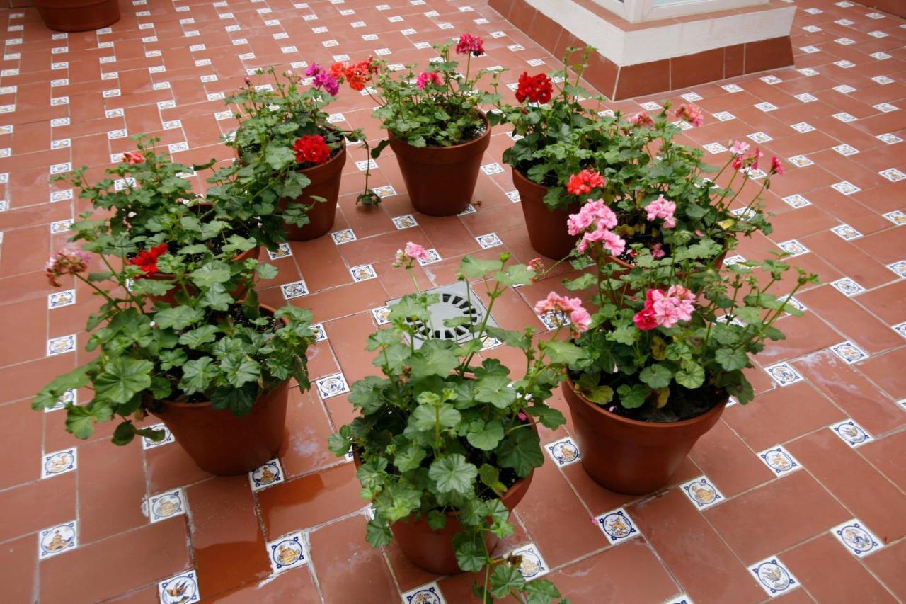 Cruces Apartamento Sevilla