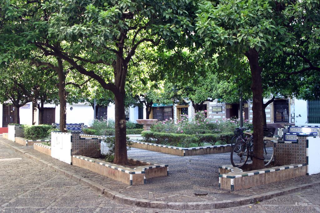 Hotel Dona Lina Seville