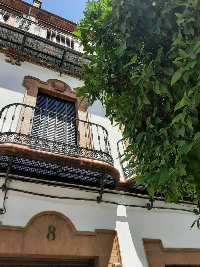 'suite Magallanes' Apartamento Cool En El Verdadero Centro De Apartment *