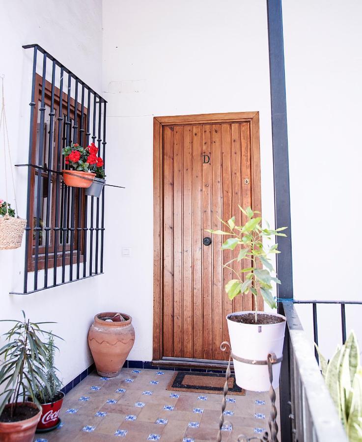 Rentalsevilla Viaje Por El Histórico Guadalquivir * Sevilla
