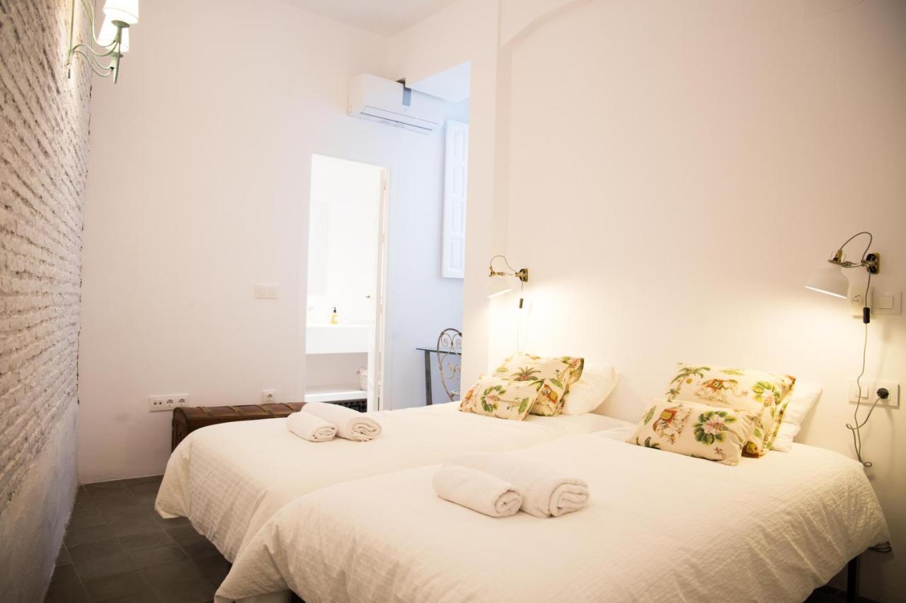 Ohliving Arenal