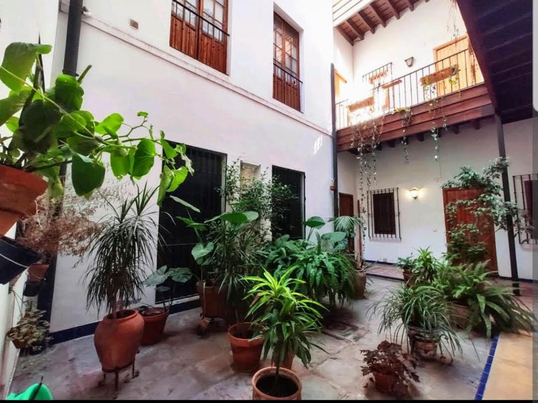 Apartamento Casa Coco Urban