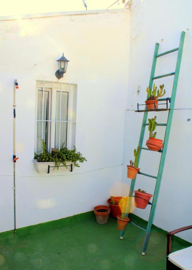Plaza Nueva Terraza Seville