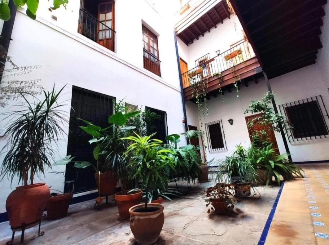 Casa Coco Urban Apartamento