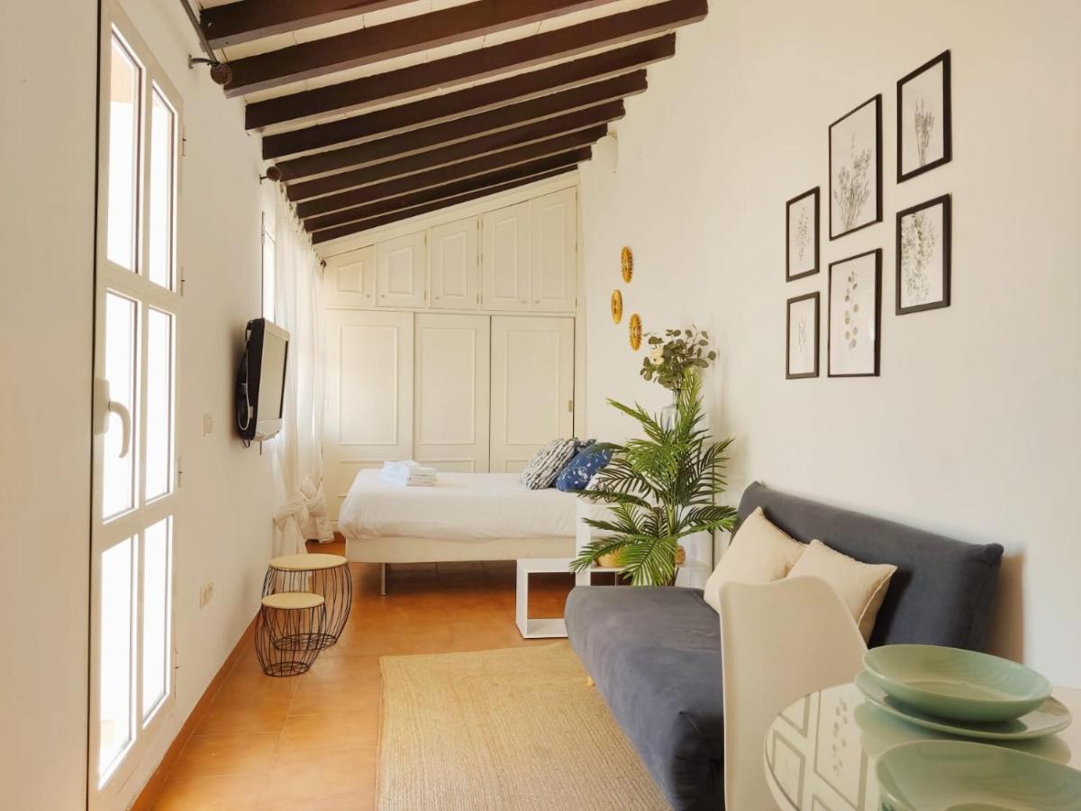 Apartment Stunning Attic With Private Terrace And Parking Optional
