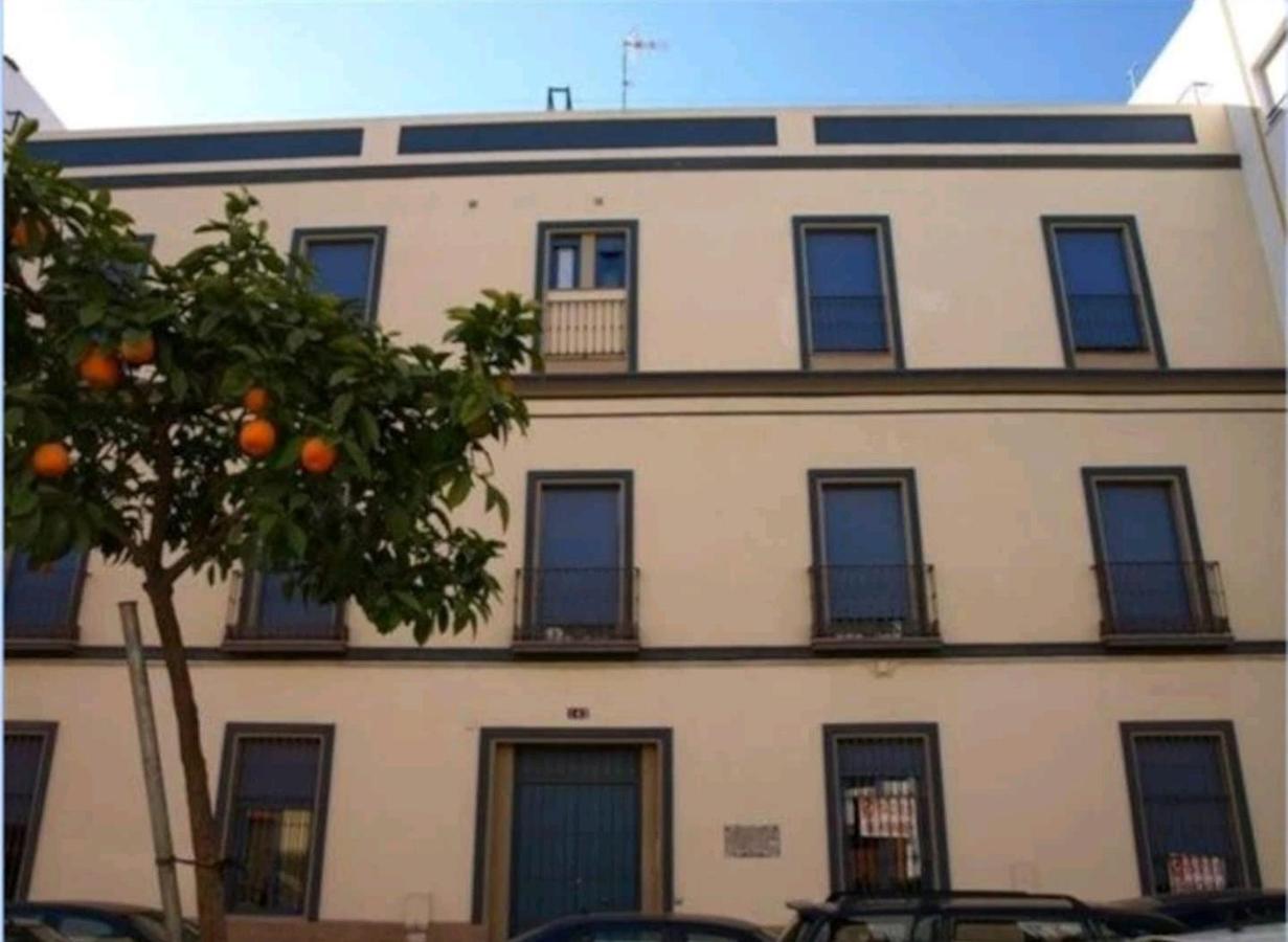 Triana 143 - Wifi