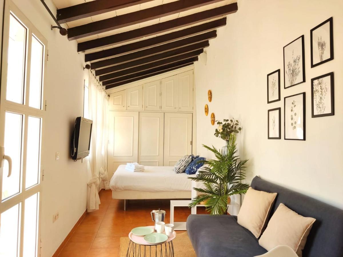 Apartment Stunning Attic With Private Terrace And Parking Optional Seville