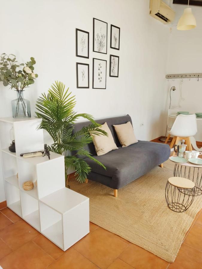 Stunning Attic With Private Terrace And Parking Optional Apartment