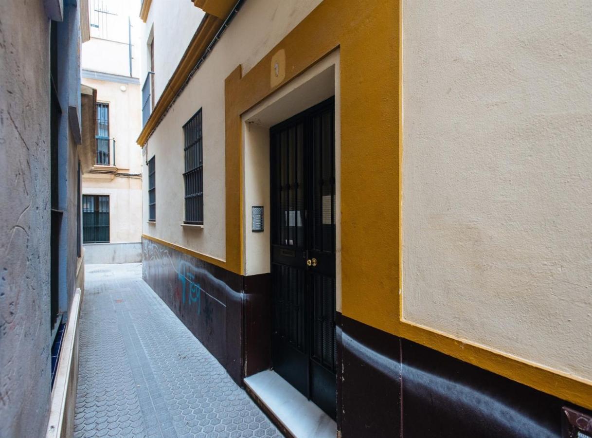 Apartamento Magno Feijóo