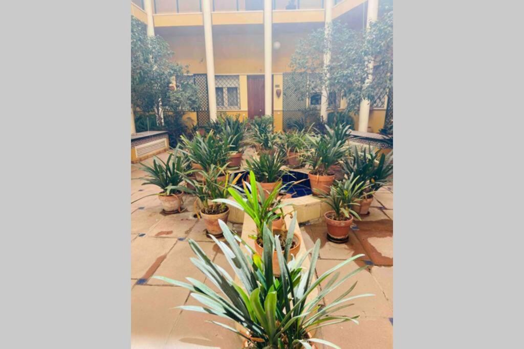 Cozy&quiet In Sanvicente St Andalusian Patio * Seville