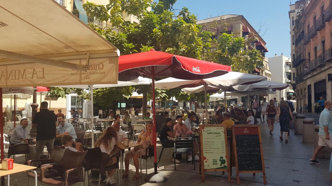 Apartamento Tranquilo Y Con Encanto En Palacio Sevillano, Junto Catedral A Acond Y Wifi Apartamento Sevilla
