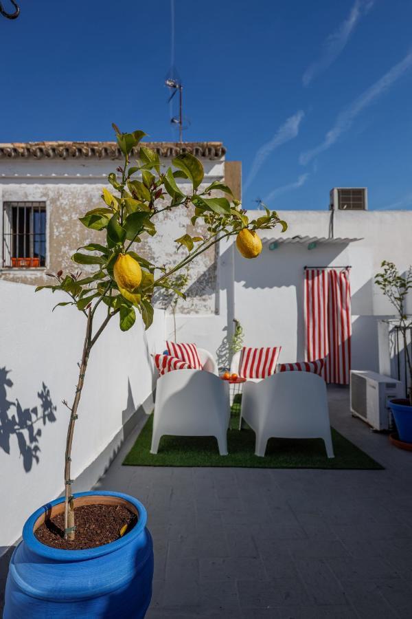 Apartamento San Diego Catedral Sevilla