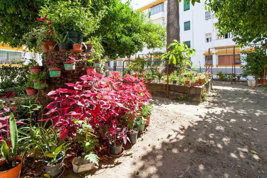 A Pies Del Alcázar Apartamento