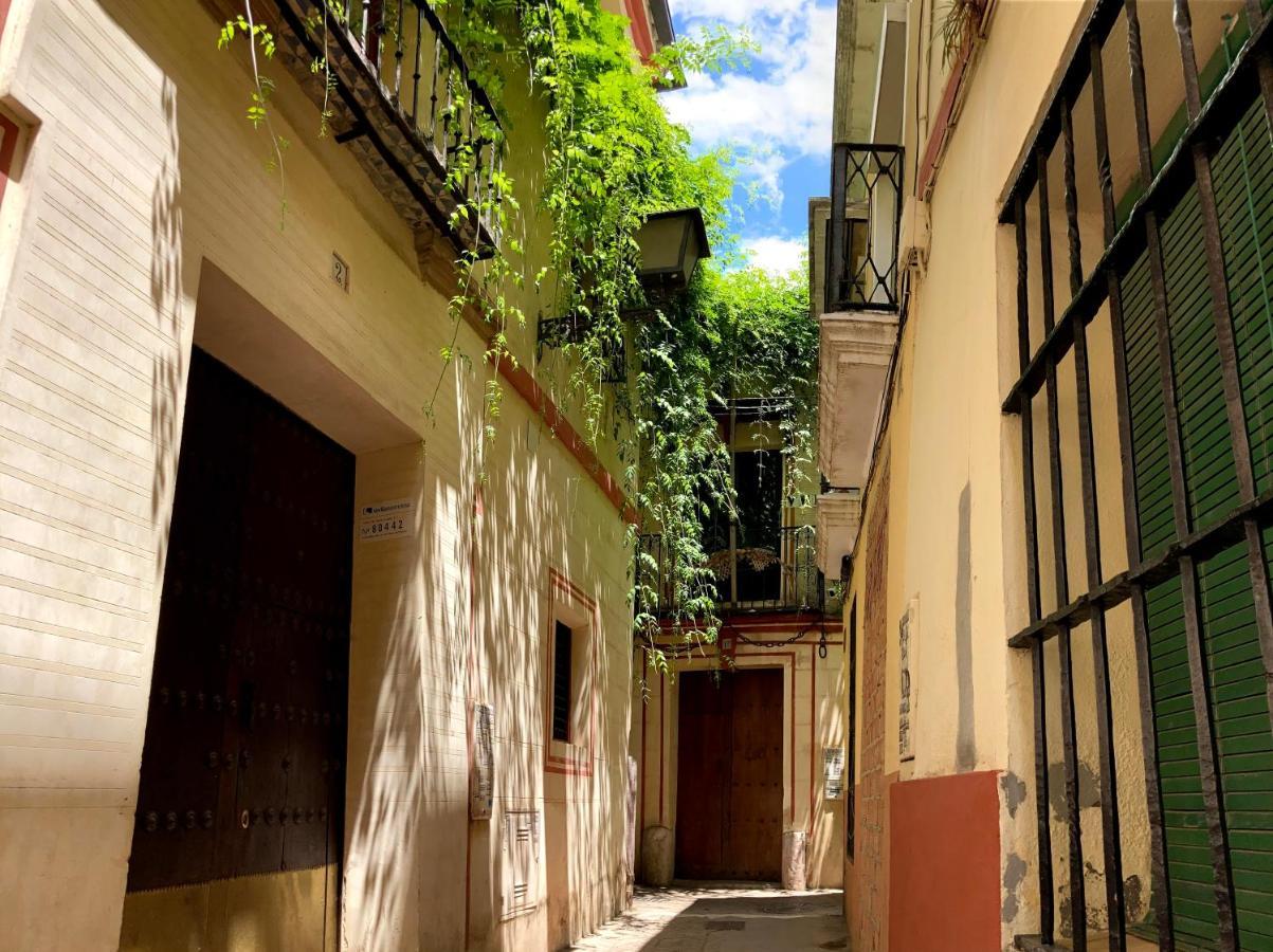 Apartamento San Clemente Big&comfy