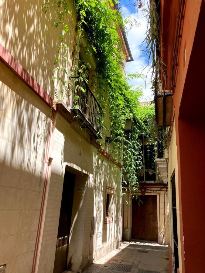 Apartamento Gran En Santa Cruz Sevilla