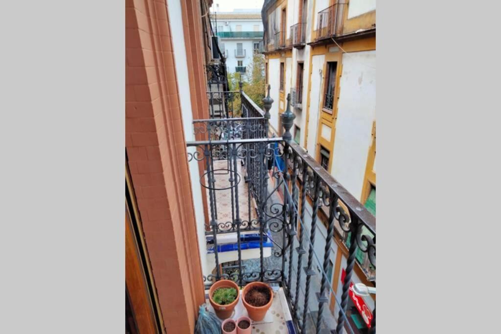 Apartamento Santa Cruz Sevilla
