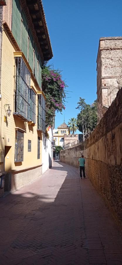 Apartamento Santa Cruz 3 Sevilla