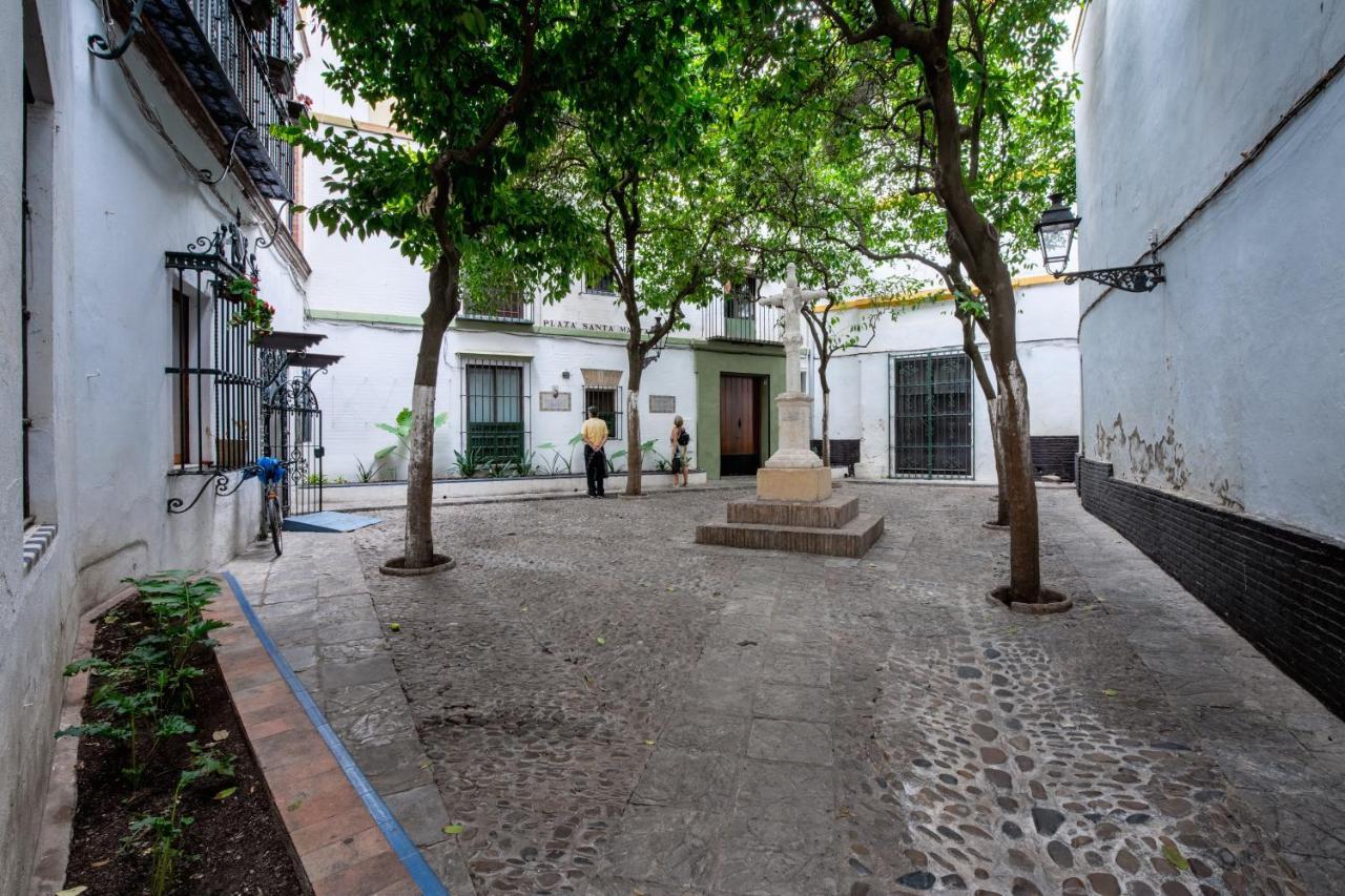 Apartment Historic Building Cathedral *