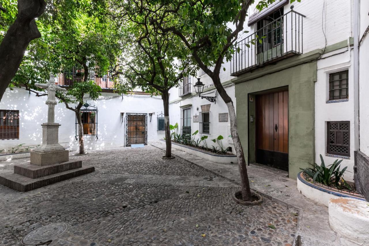 Historic Building Cathedral Apartment