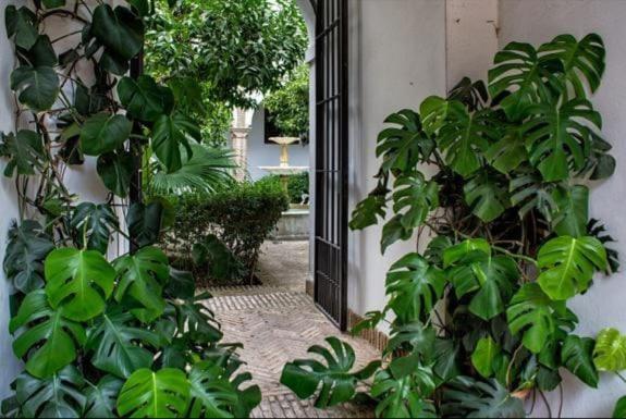 Apartamento De Dos En Plaza Alfaro Sevilla