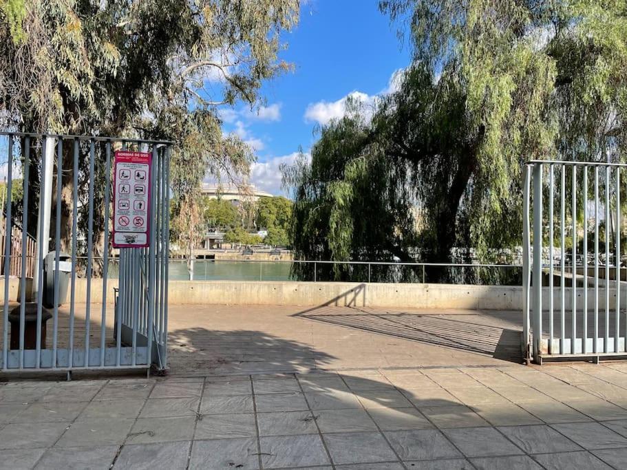 Selva La Bella. En El Corazón De Triana