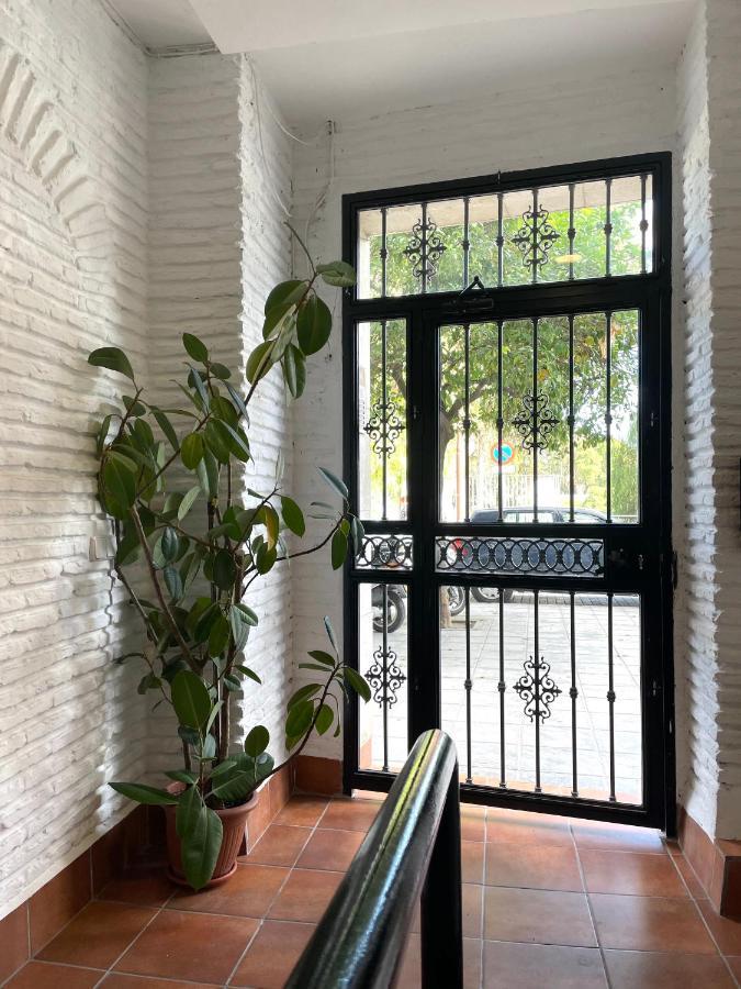 Selva La Bella. En El Corazón De Triana Apartamento