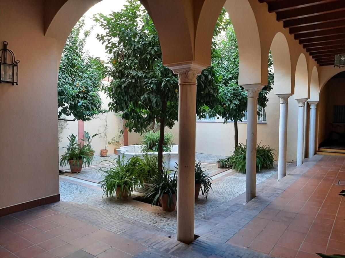 Alameda - San Lorenzo * Seville