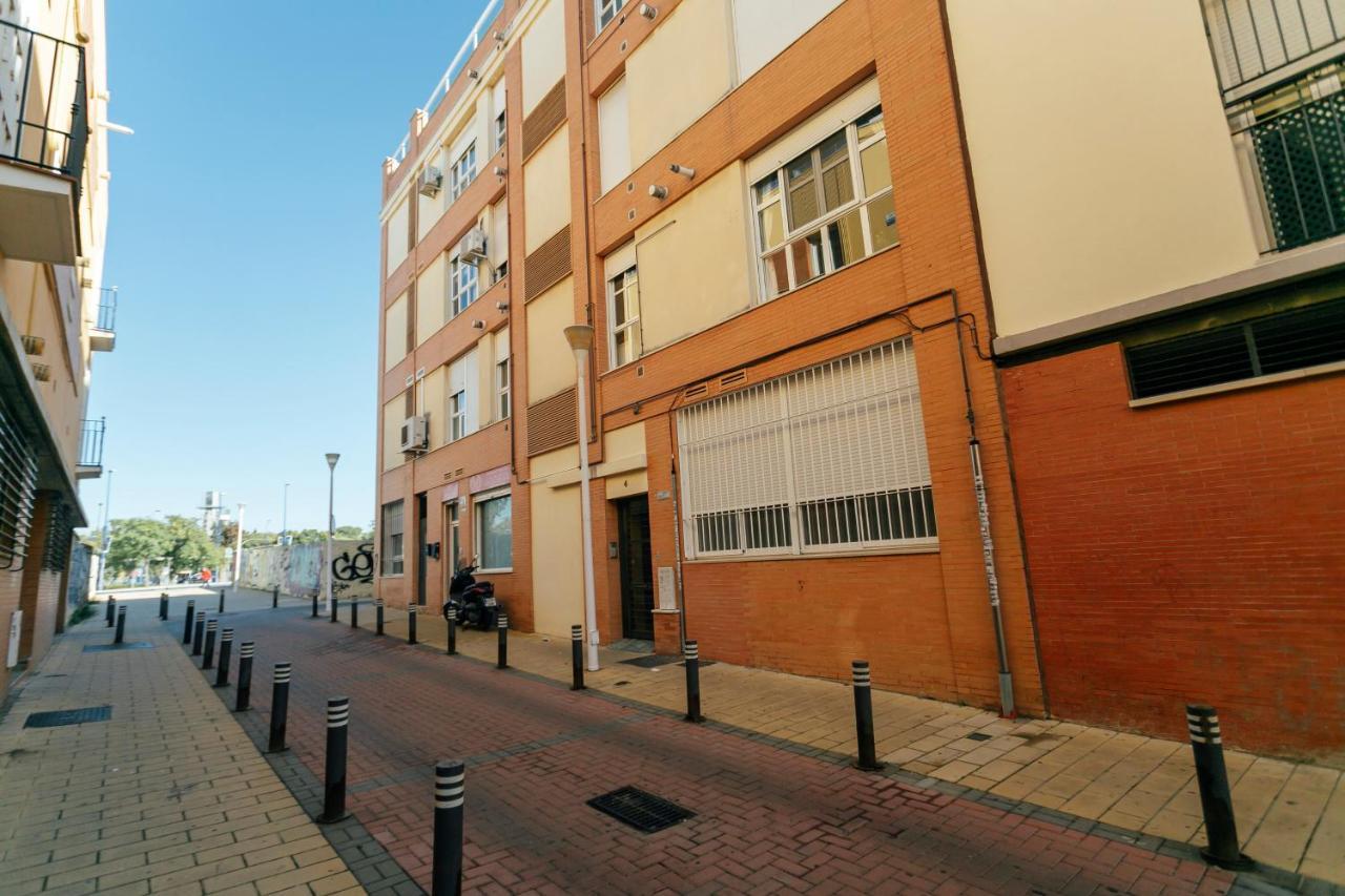 Alohamundi Castilla Iii