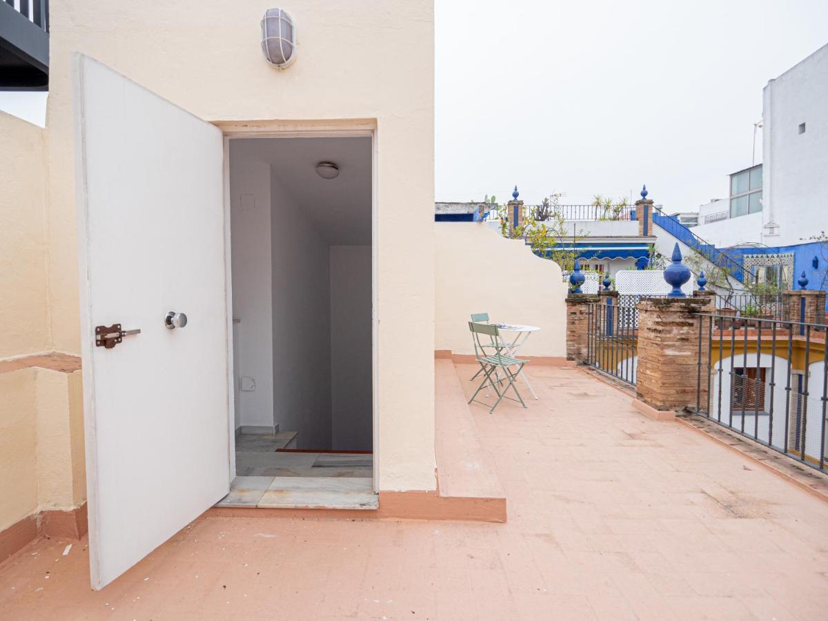 Apartamento Cl Ubicacion Excelente Y Terraza Comun Junto A La Alfalfa *