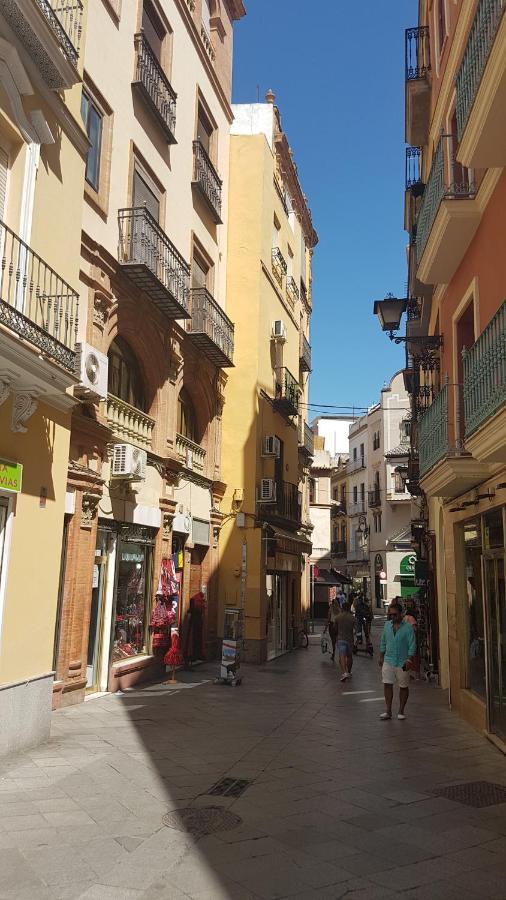 Apartment Ubicacion Junto Catedral A Acond Y Wifi *