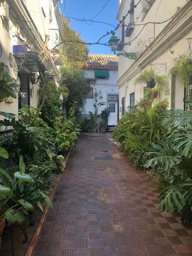 Charming House In Triana,best View From Patio *