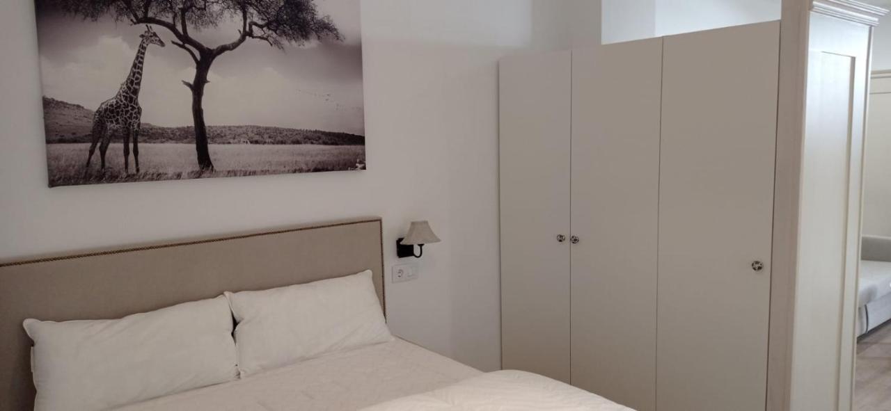 Agradable Apartamento En El Centro De