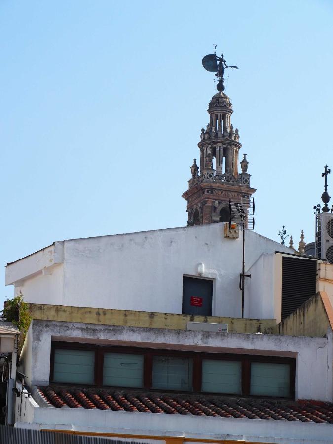Jimios Alcázar Catedral