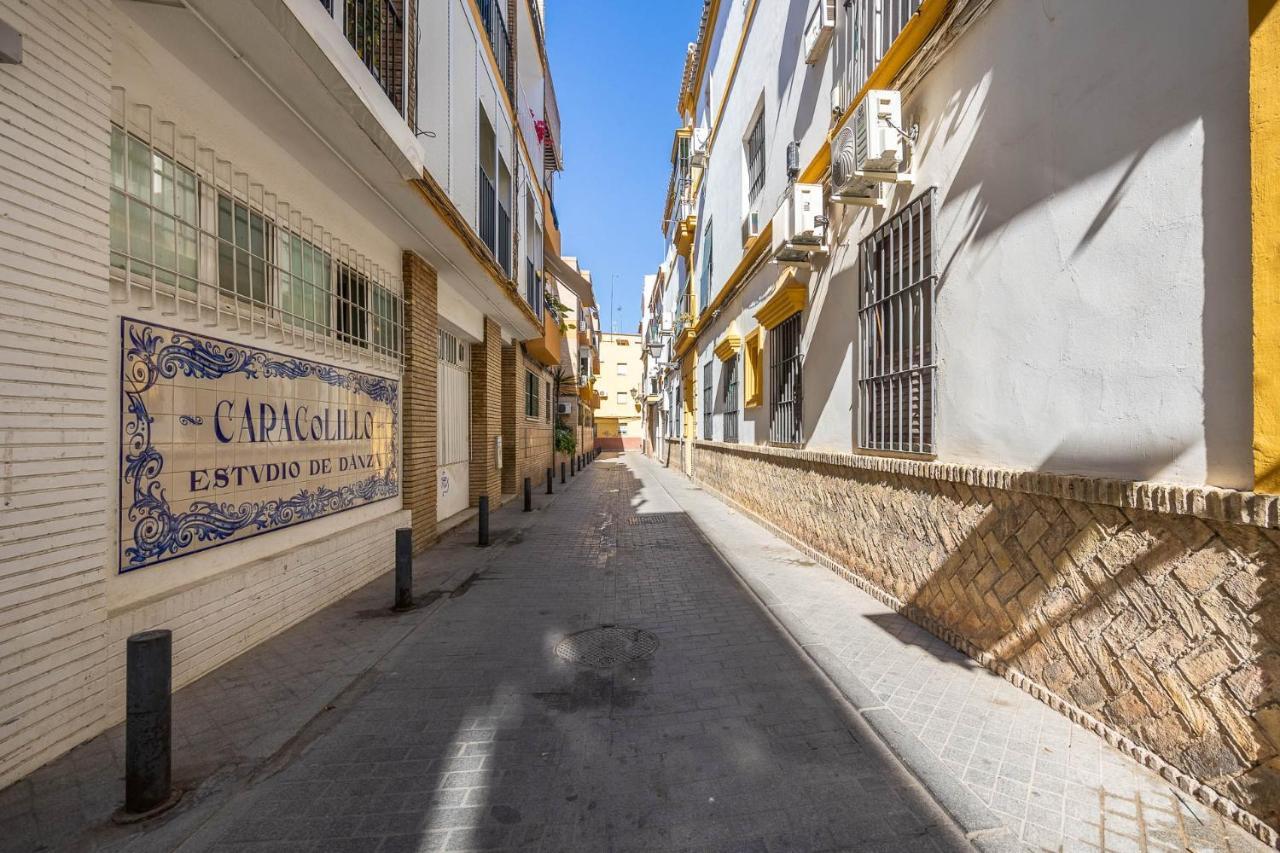 Atico Fortaleza Ii En El Casco Antiguo De Triana Apartment Seville